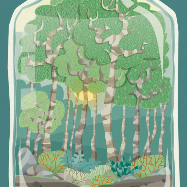 tondy illustration lille affiche bouteille foret turquoise zoom 1