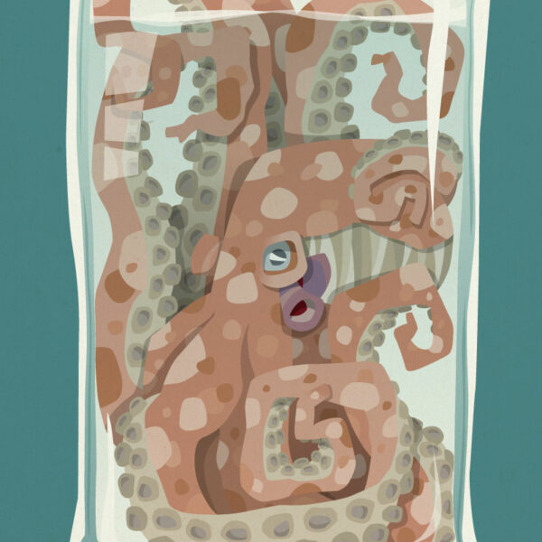 tondy illustration lille affiche bouteille pieuvre turquoise Zoom
