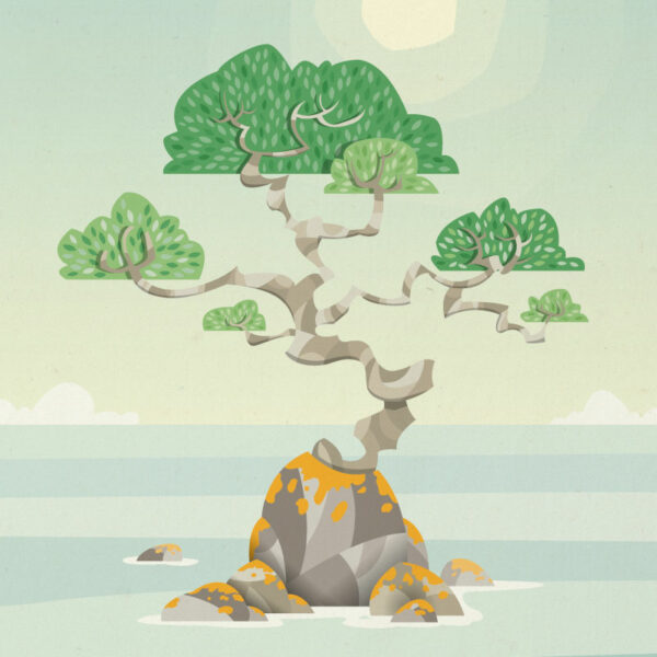 tondy illustration lille affiche nature ile bonsai zoom